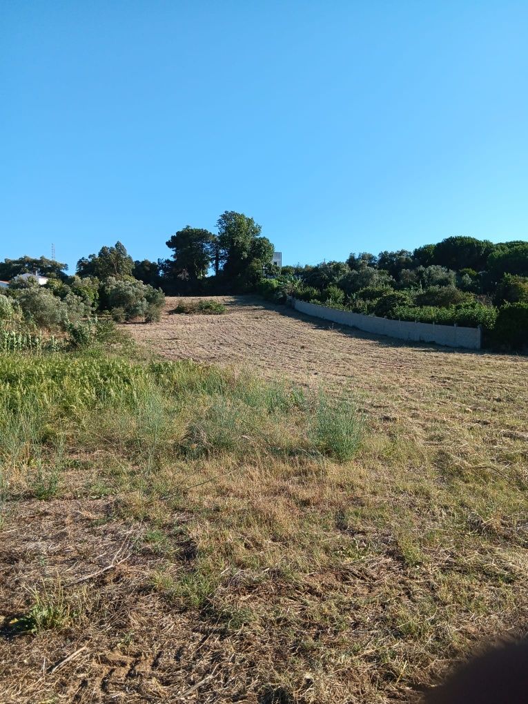 Terreno em Palmela