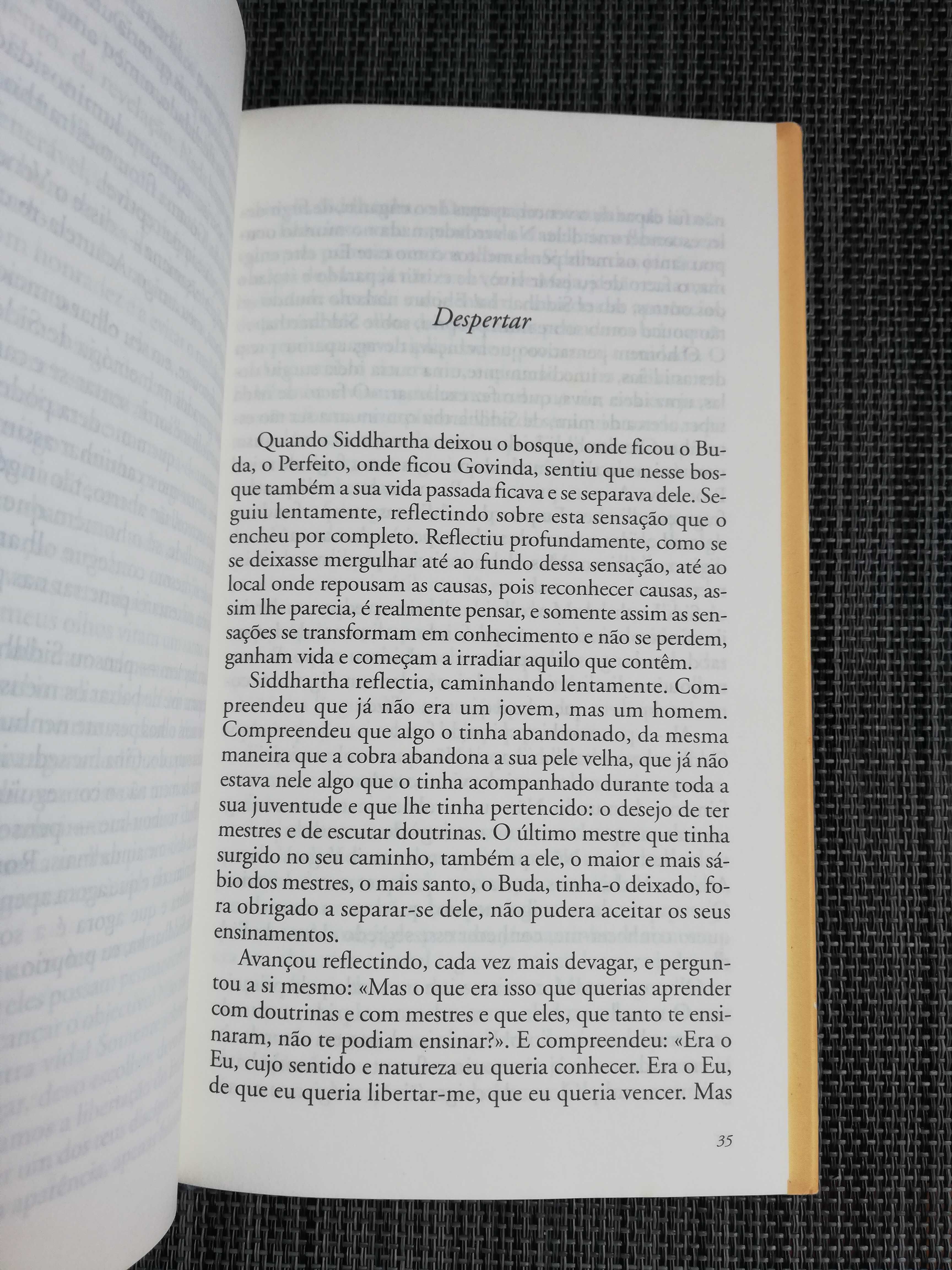 Herman Hesse - Siddhartha (portes incluídos)