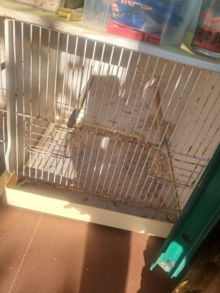Gaiolas de criação