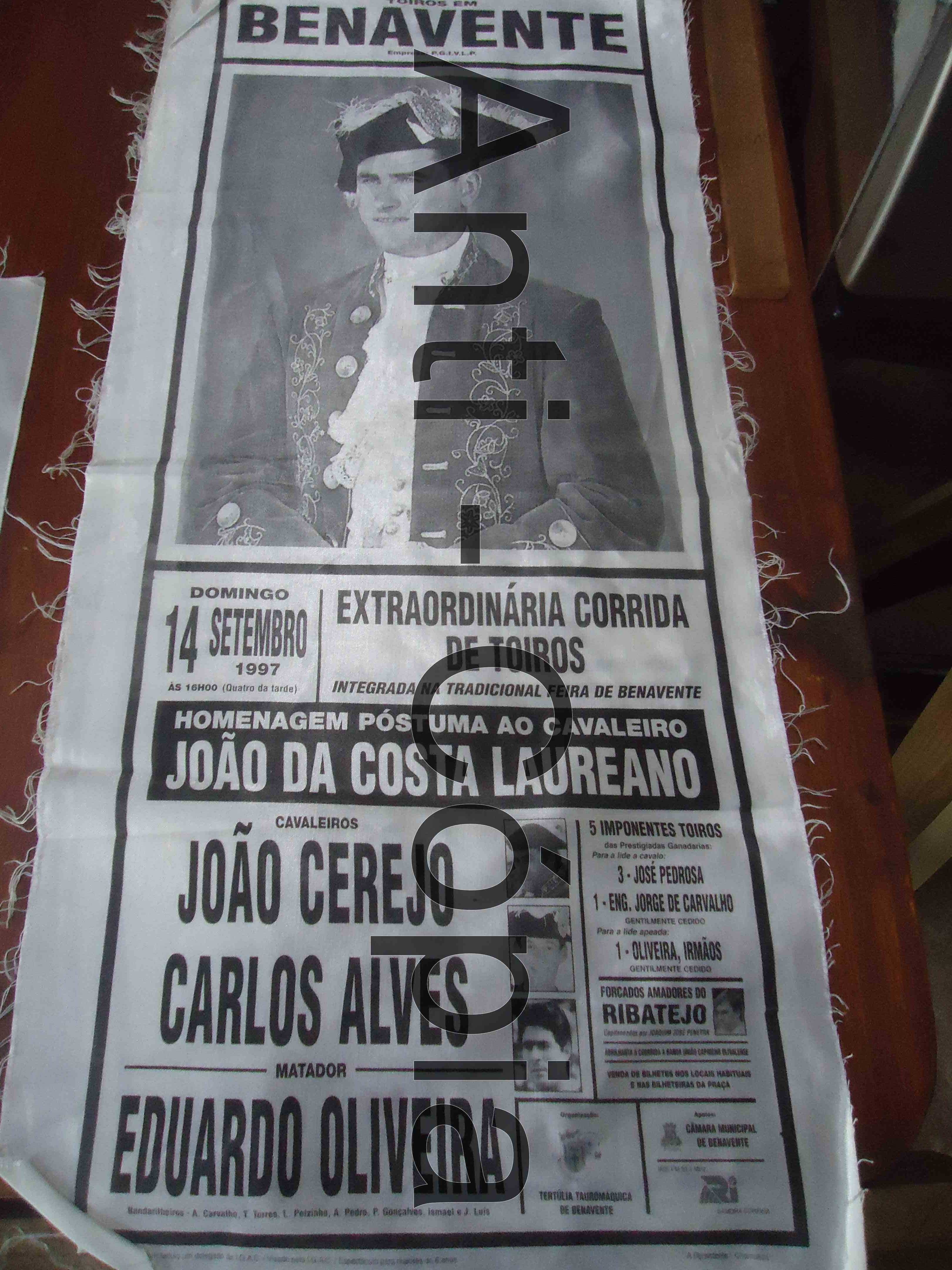 Toiros - Programas em Seda 1