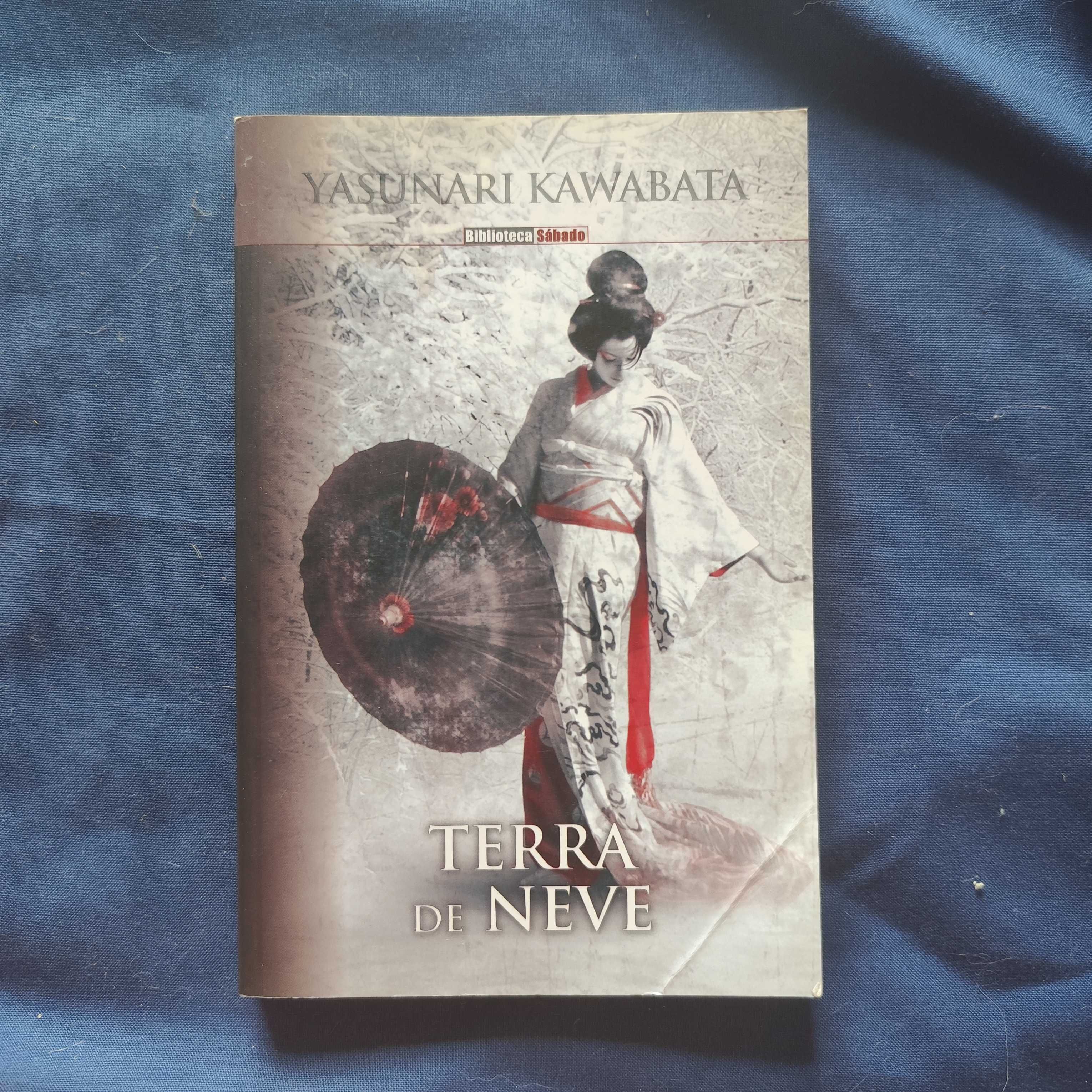 Yasunari Kawabata - Terra de Neve