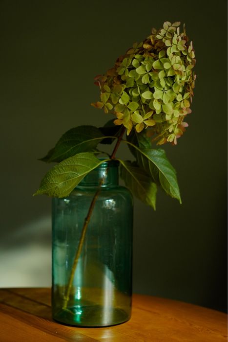 Wielki słój wazon vintage szkło butelkowa zieleń