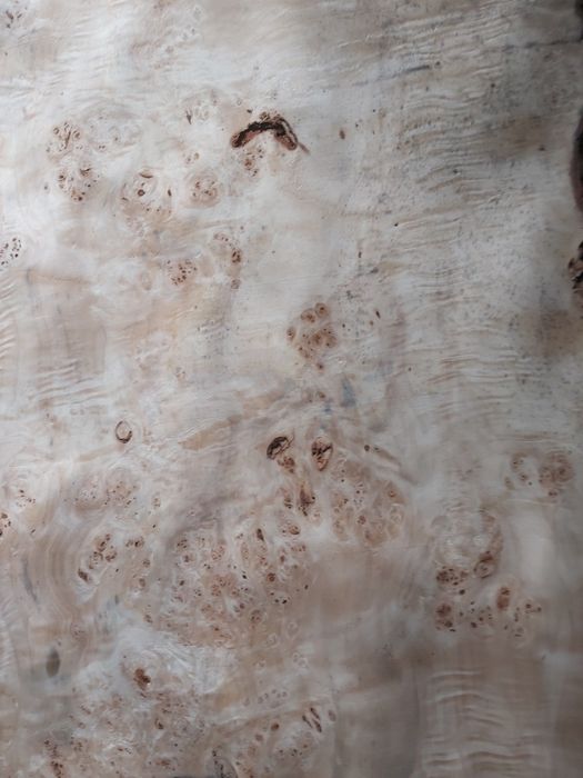 Okleina fornir Topola Czeczot