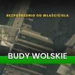 Działka 1,17 ha Budy Wolskie, warunki zabudowy, CPK, PROMOCJA -50%