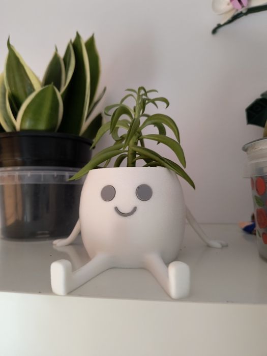 Vaso para plantas suculentas