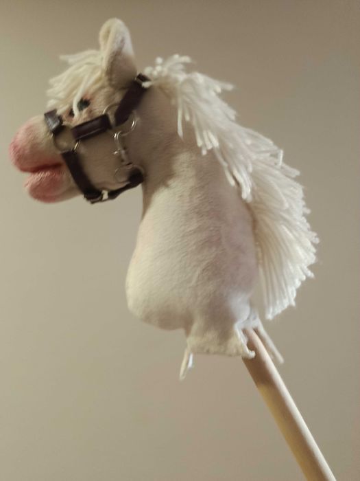 Hobby horse format A4