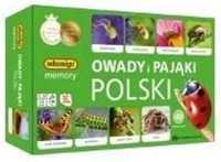 Memory - Owady i pająki Polski
