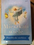 J. Woolley: Mieszkań wiele. Przebłyski niebios.