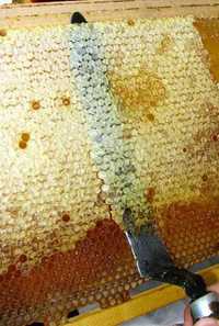 Мед забрус недорого натуральный продукт без сахара