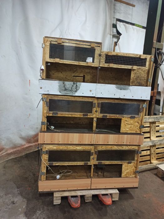 Брудера для циплят