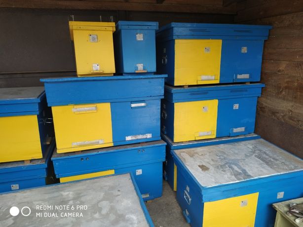 продам ульи для пчел новые и б/у, бидоны 40 л., канистры 10 л.