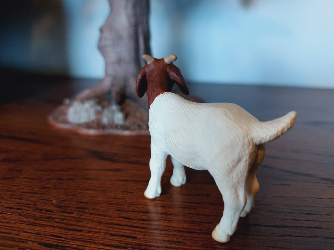 Koza Burska schleich