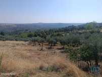 Terreno em Lagoaça e Fornos de 3500,00 m2