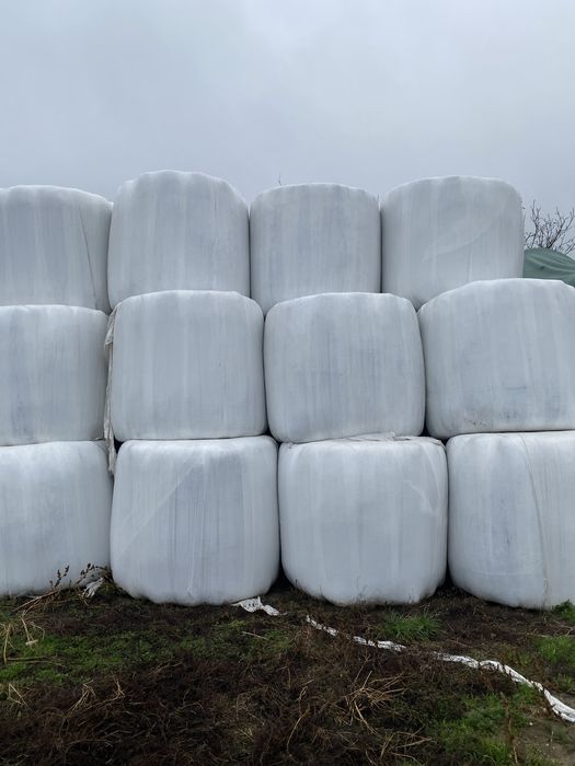 Sianokiszonka w belach