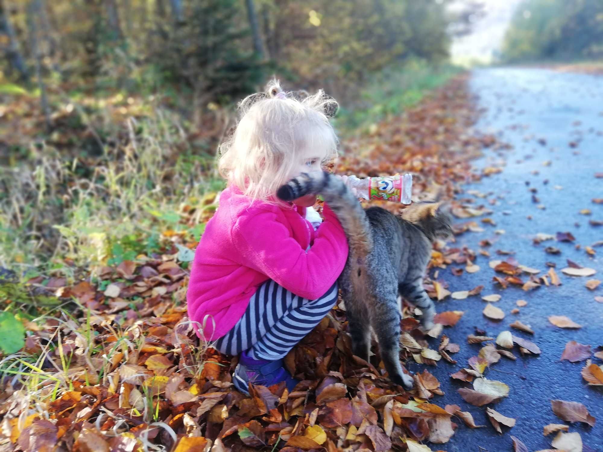 Wolne noclegi, pokoje w górach nad jeziorem, Zalew Klimkówka