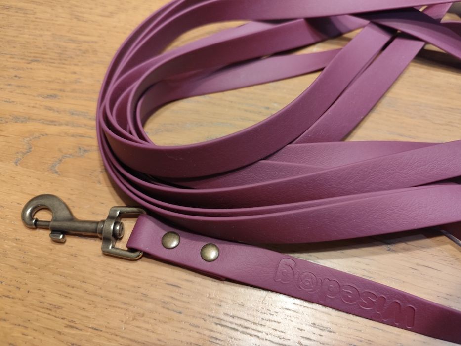 Smycz treningowa Wisedog 10 m pcv