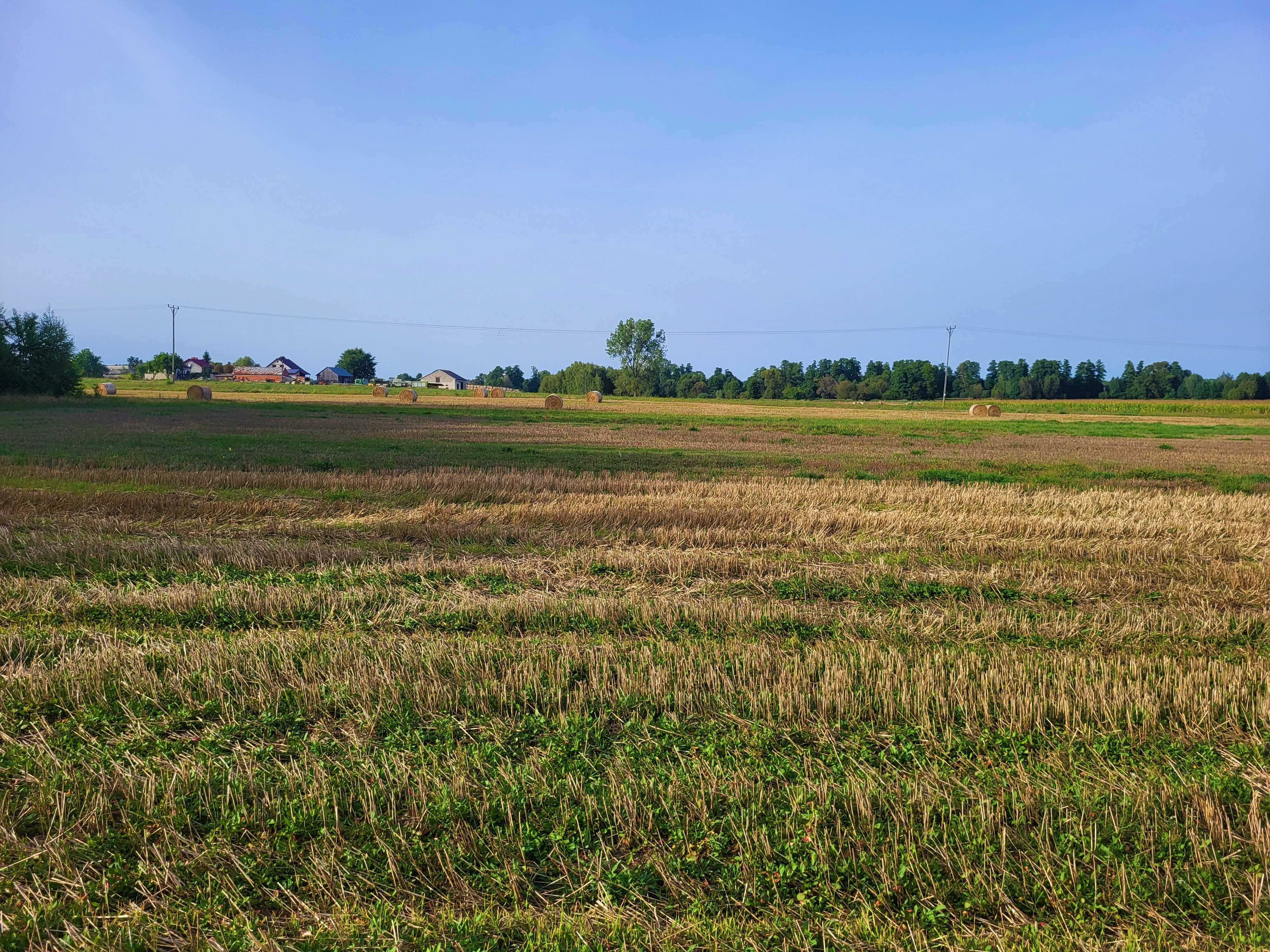 Działka budowlana 1000m