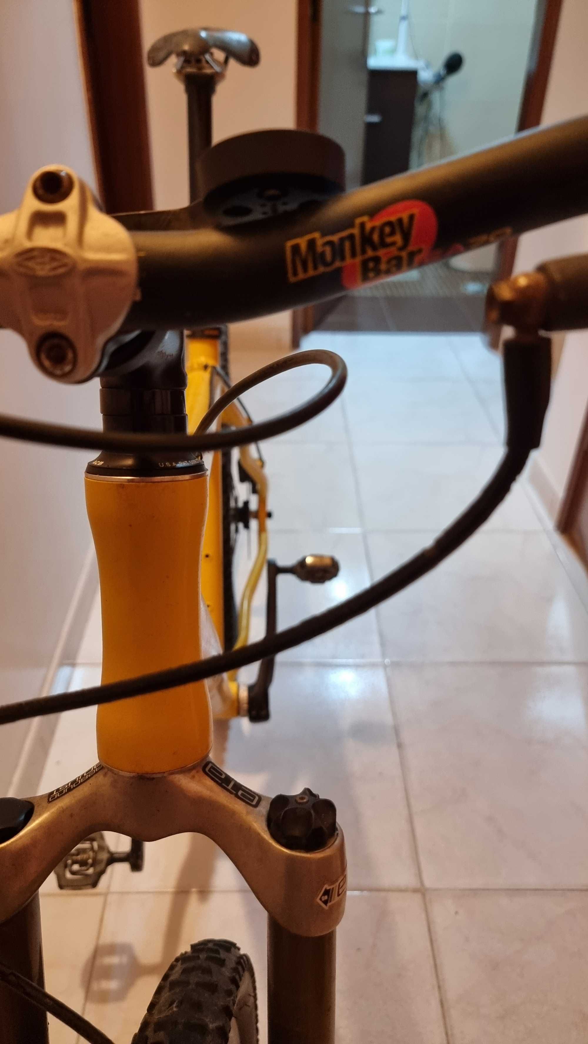 Bicicleta BTT Single Speed