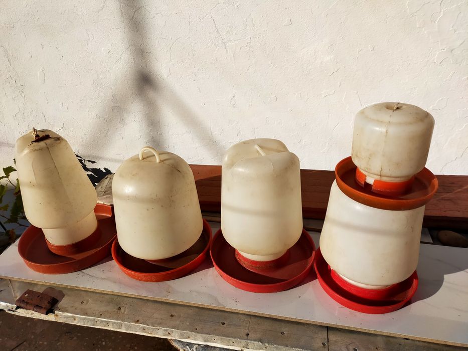 Bebedores para galinhas