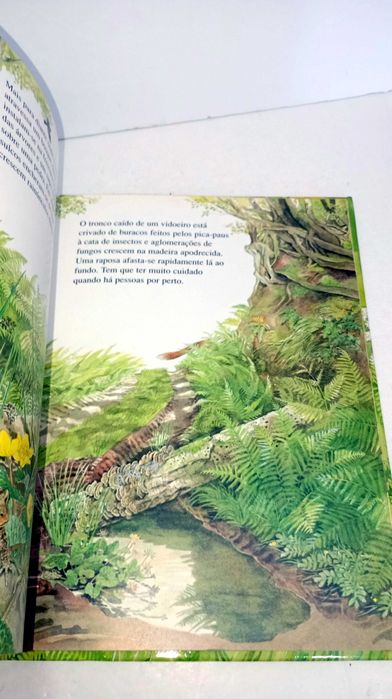 Livros da Coleção - O Mundo em Mudança