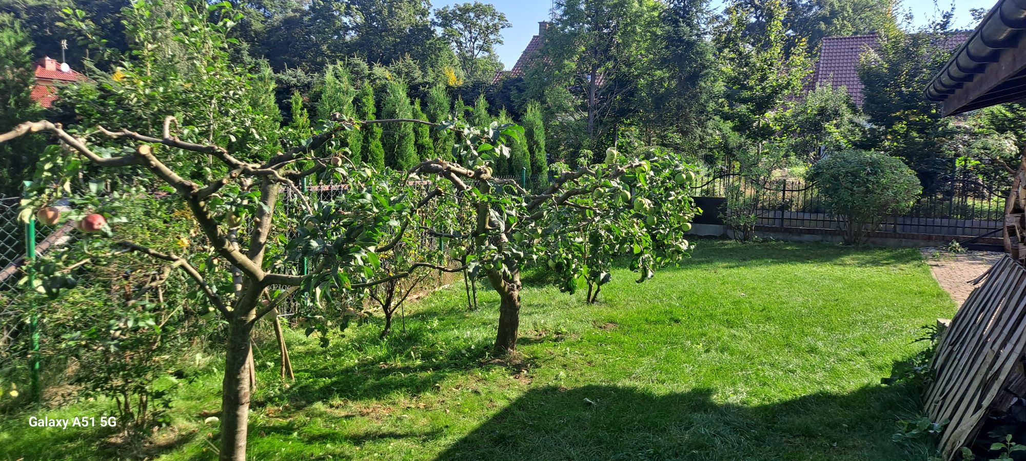 Usługi ogrodnicze, żywopłoty, pielęgnacja, nasadzenia