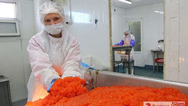 Імітована ікра лососевих порід червона- “Кета-зерниста 1,5кг”