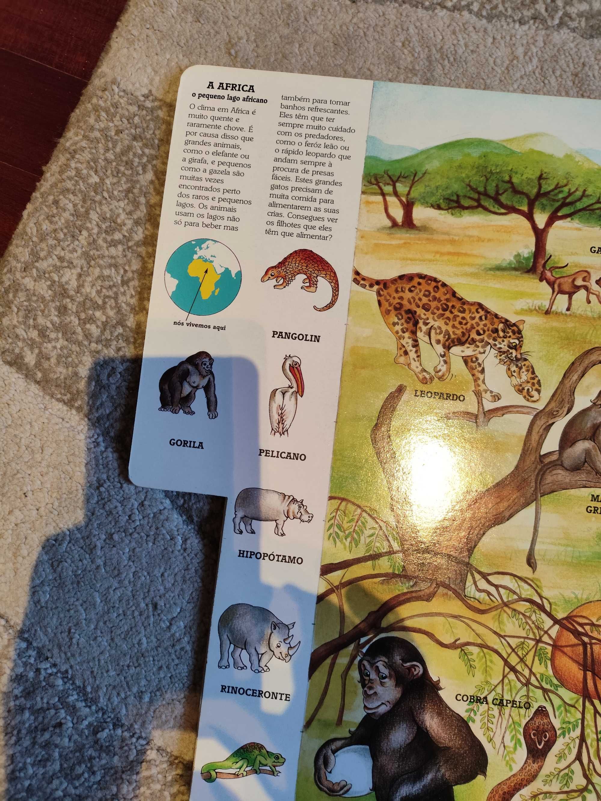 Livro infantil animais