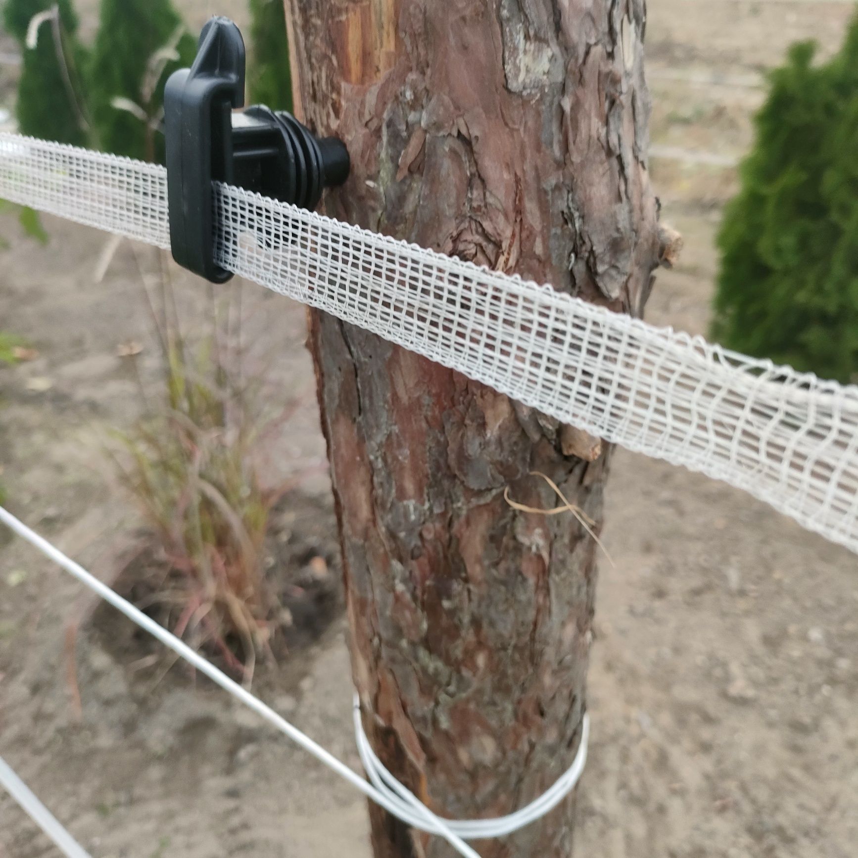 Izolatory do pastucha taśmy wkręcane