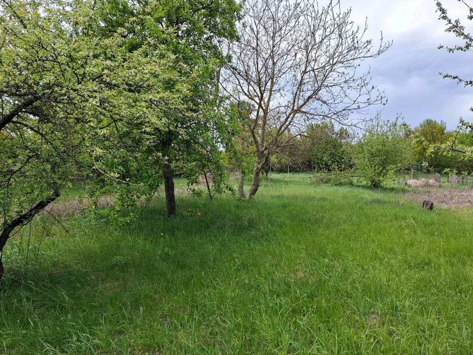 Продаж земельної ділянки в с. Хлепча