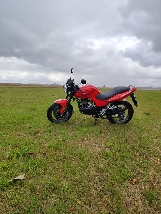 Kreidler Street 125 DD