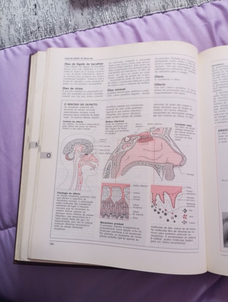 2 volumes Enciclopédia de Medicina