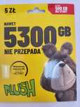 Złoty Ładny numer na kartę : Plush 603x607x116  starter