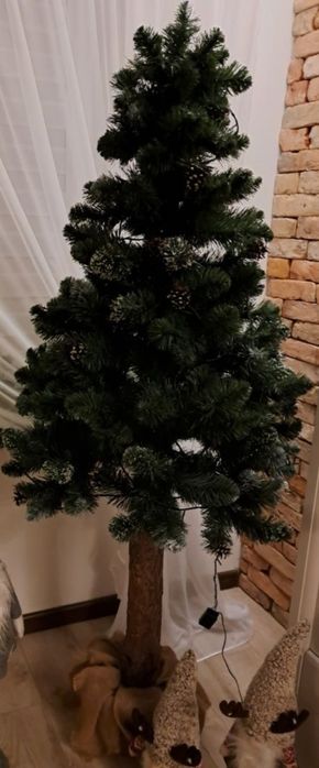 Choinka na pniu 220 cm