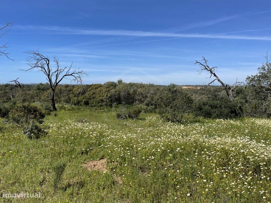 Terreno Rústico com 2160 m2 em Paderne - Albufeira, Algarve