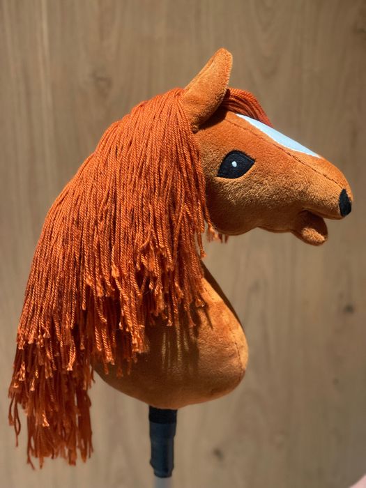 Hobby Horse A3 na kiju