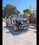 MINI MOKE de colecção