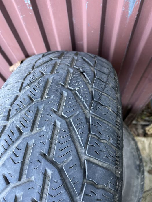 Зимова гума мішелін Оріум