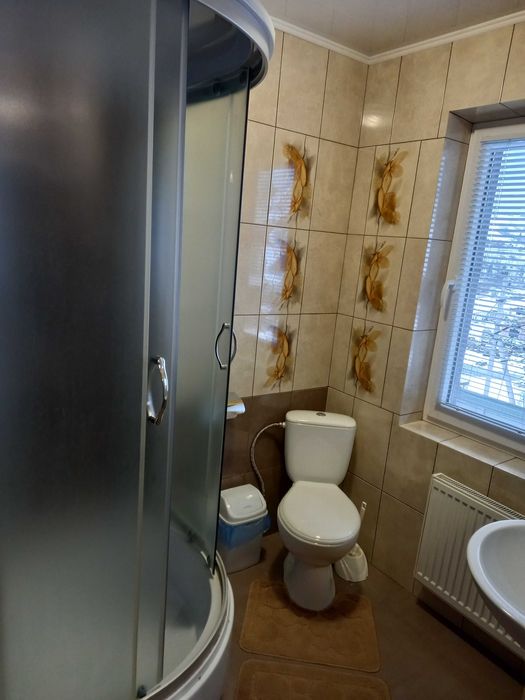 Відпочинок в Карпатах