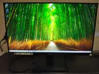 Monitor Iiyama 24,5" 75Hz G2530HSU Black Hawk