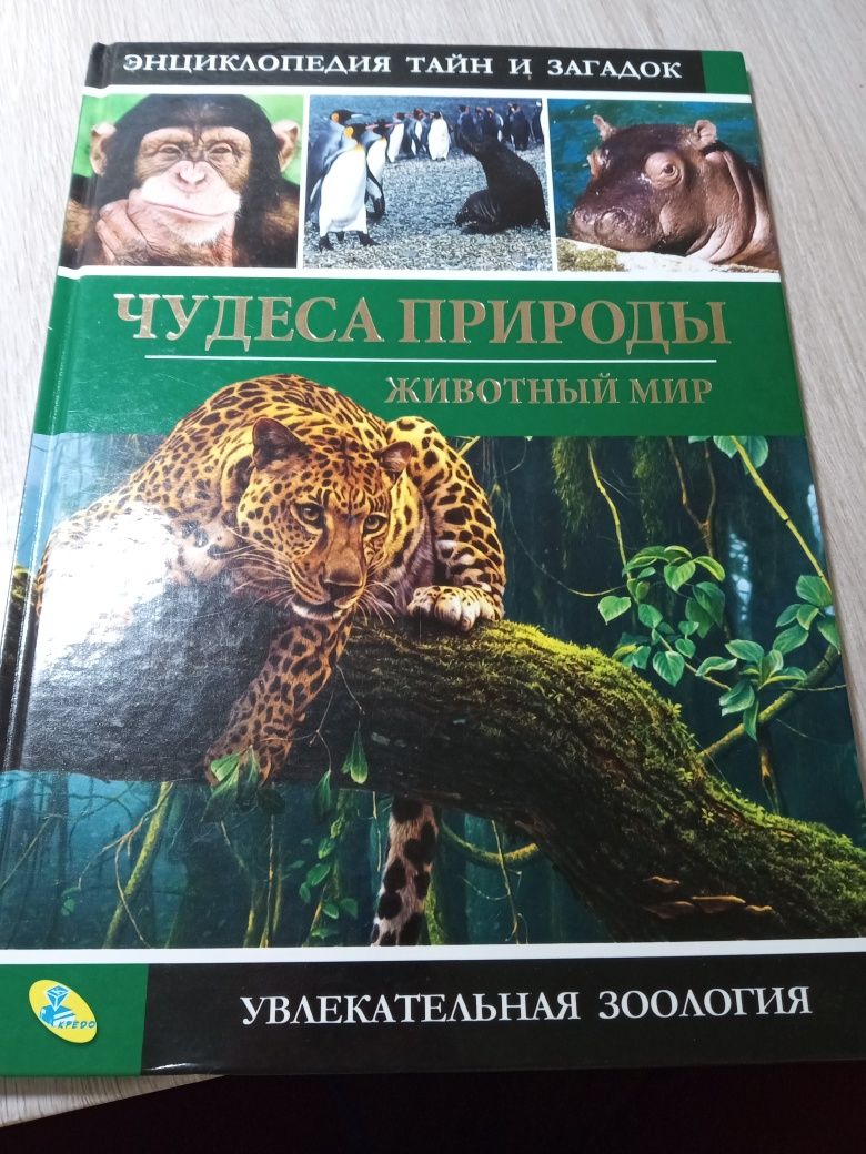 Книга энциклопедия животный мир. На подарок. Отличное сост. Русс. Яз