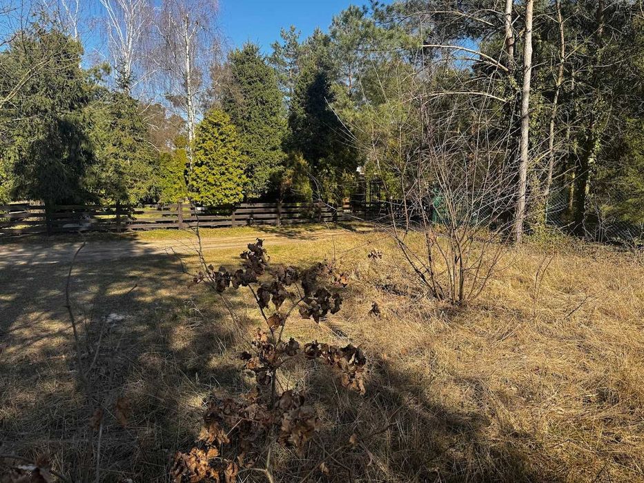 Gniezno, Dębówiec działka budowlana