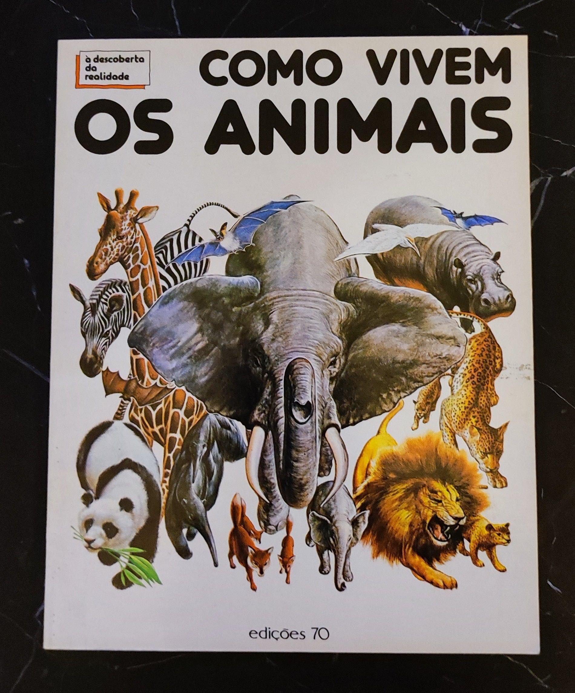 Como vivem os animais