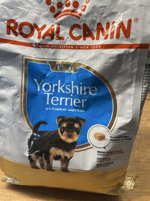 Oddzm karme dla szczeniaka yorkshire terier puppy  royal canin