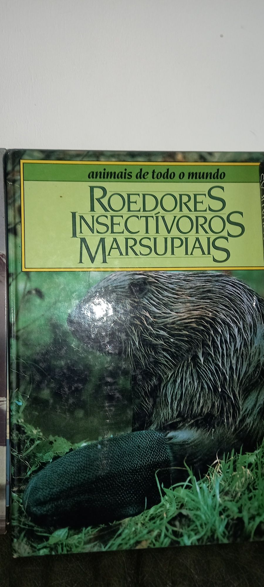 Coleções Animais de todo mundo