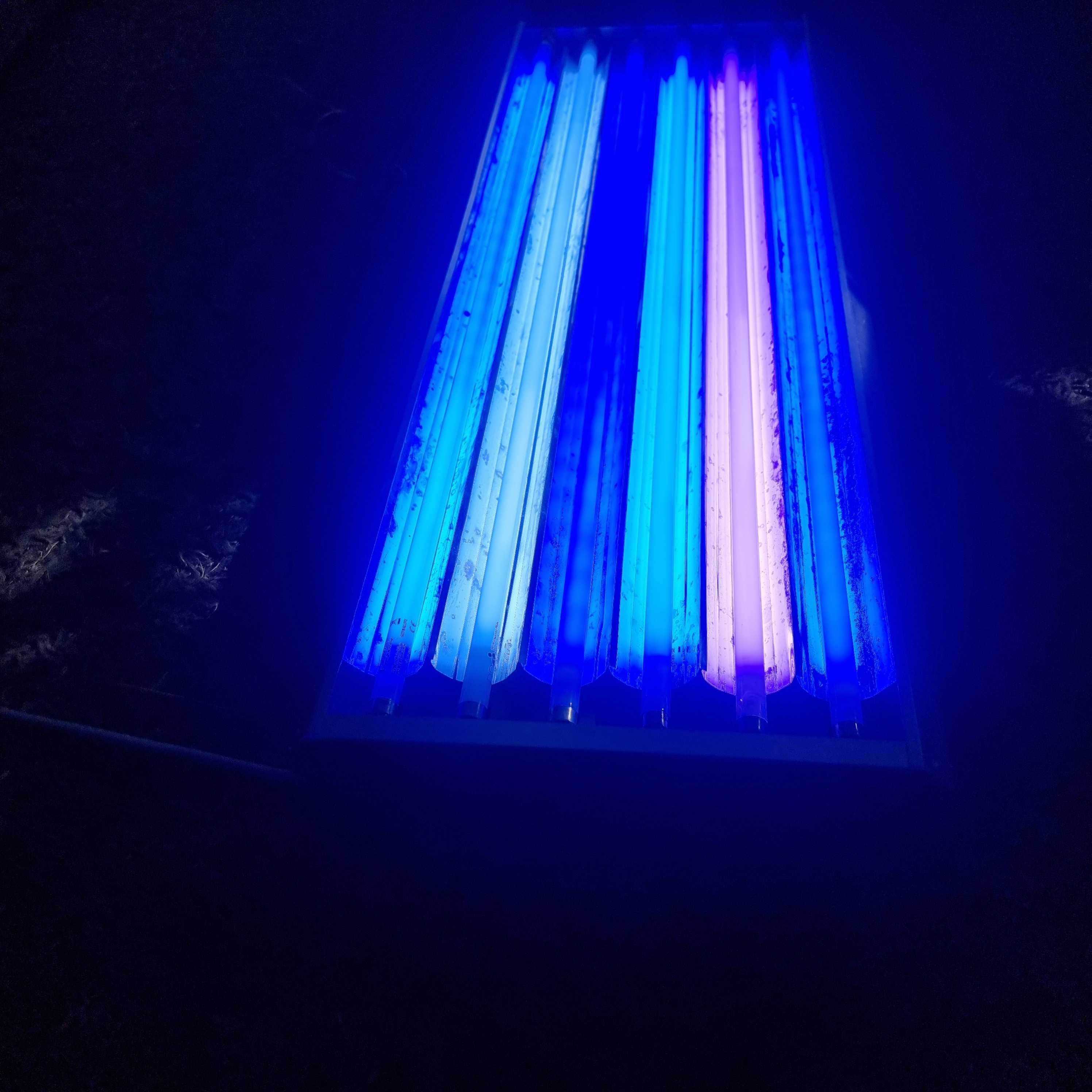 Lampa do akwarium morskiego morskie ATI T5 6x39 W plus programator