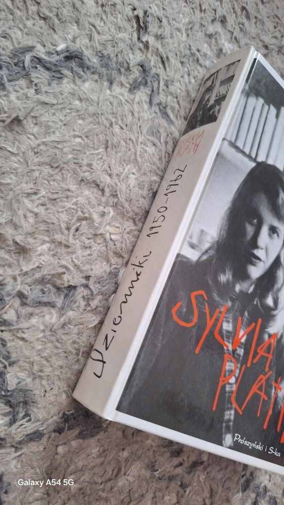 Sylvia Plath Dzienniki [BSZP2]