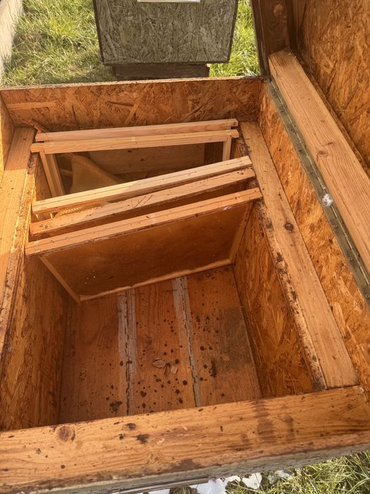 Ul typu dadant z powałką komplet