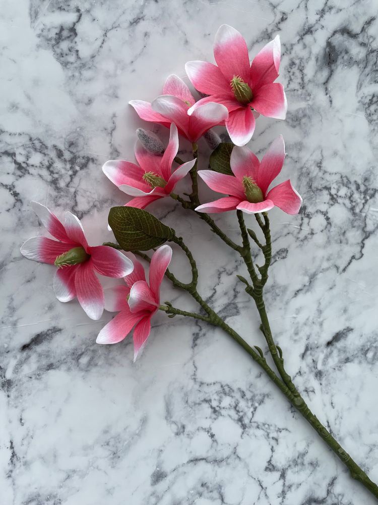 Magnolia galazka, kolory Kwiaty sztuczne