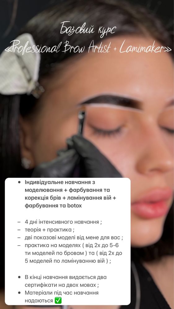 Обучение брови . Брови . Бровист . Базовый курс