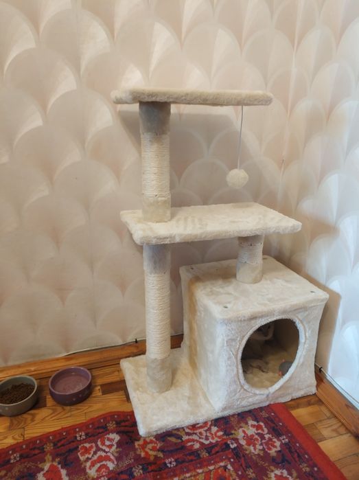 майже новий котячий будиночок кігтеточка дряпалка з полицями